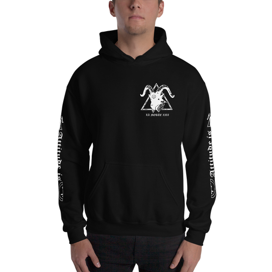 Not Today • Unisex Pullover Hoodie